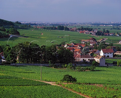 View north over ChambolleMusigny to MoreyStDenis In the foreground are commune vineyards whilst between the two villages are the Premier Cru Les Cras and Les Fues and the Grand Cru Les Bonnes Mares Clos de Tart and Clos des Lambrays The city of Dijon is in distance  Cte dOr France   Cte de Nuits  