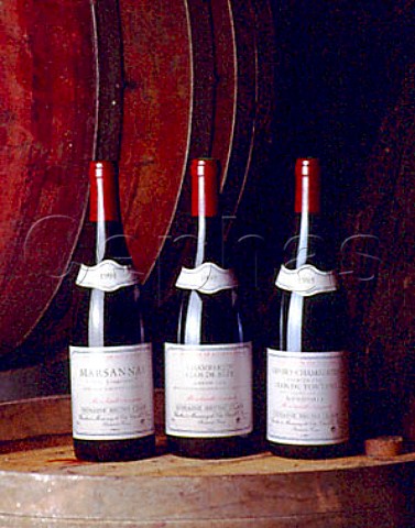 3 bottles in the cellars of Domaine Bruno Clair   MarsannaylaCote Cote dOr France