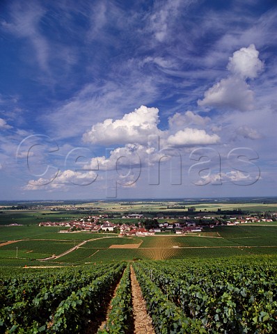 View down to VosneRomane from above la Tche vineyard Cte dOr France Cte de Nuits Grand Cru