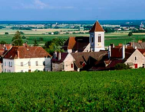 The premises of Mommessin in MoreyStDenis viewed   from their monopole the Grand Cru Clos de Tart   Cte dOr France   Cte de Nuits