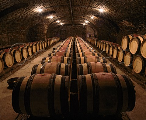 Barrel cellar of Lalou BizeLeroy VosneRomane Cte dOr France