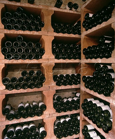 Bottle bins in the tasting room of Olivier Leflaive PulignyMontrachet Cte dOr France