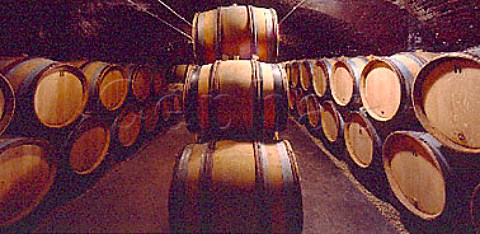 Barrels in the cellars of Marc Colin Gamay Cote   dOr France