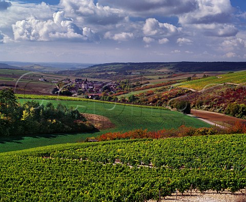 Vineyards around the village of Chitry Yonne France Bourgogne Chitry