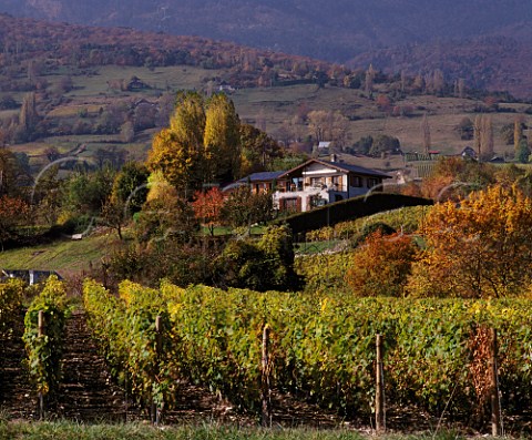 Vineyards near Apremont Savoie France AC Vin de SavoieApremont