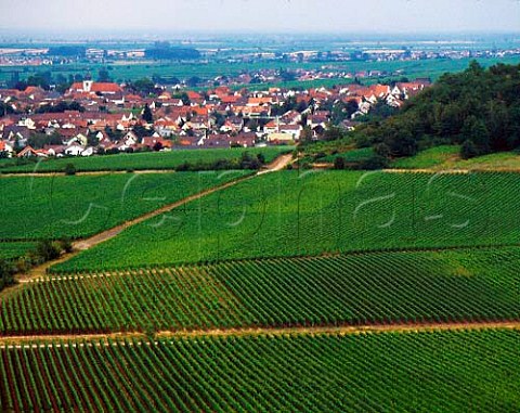 Wachenheim viewed over the Mandelgarten vineyard     Pfalz Germany   Mittelhaardt Deutsche Weinstrasse