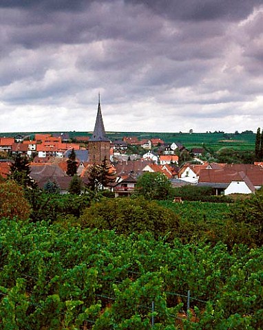 Village of Grosskarlbach Pfalz Germany  Bereich Mittelhaardt Deutsche Weinstrasse