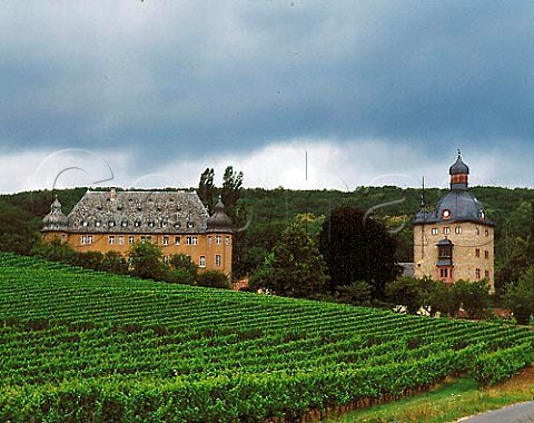 Schloss Vollrads viewed over the Schlossberg   vineyard at Winkel Germany    Rheingau