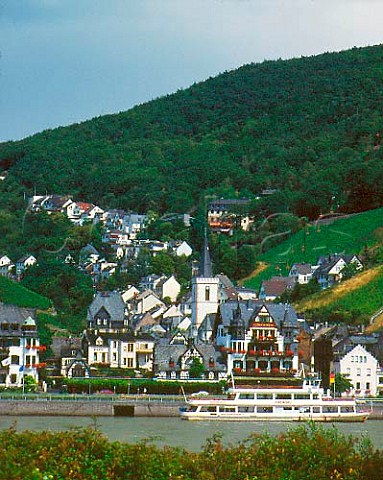 View across the Rhine to Assmannshausen Hollenberg   vineyard is on left with Frankenthal on right This   village is unusual in the area for being mainly known   for red wine  a Pinot Noir  Germany   Rheingau