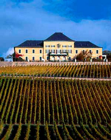 Schloss Johannisberg above its vineyards at   Johannisberg Germany Rheingau