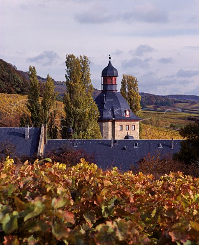 Schloss Vollrads surrounded by the Schlossberg   vineyard Winkel Germany     Rheingau