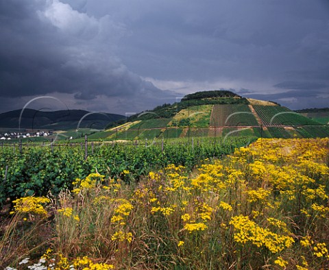 Storm clouds over the Rosenberg vineyard at Oberemmel Saar Germany   Mosel