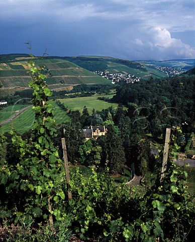 Maximin Grunhaus at the foot of the Abtsberg   vineyard  the villages of Kasel and Waldrach are in   the distance   Mertesdorf Ruwer Germany   Mosel