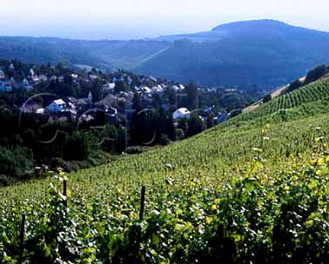 View from the Karthauserhofberg vineyard over   Mertesdorf with the Abtsberg vineyard in the   distance  Ruwer Germany   Mosel