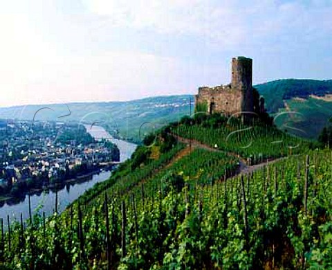Burg Landshut castle and the Schlossberg vineyard   above BernkastelKues and the Mosel     Germany      Mosel