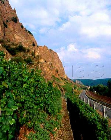 The Traiser Bastei vineyard at the foot of the   Rotenfels cliff Bad Munster Germany    Nahe