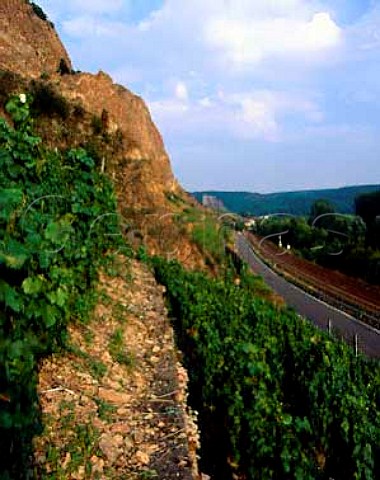 The Traiser Bastei vineyard at the foot of the Rotenfels cliff Bad Munster Germany  Nahe