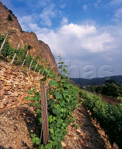 The Traiser Bastei vineyard at the foot of the Rotenfels cliff Bad Mnster Germany    Nahe