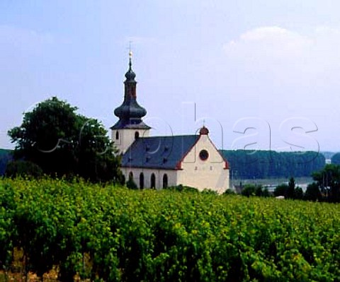 Church in the Glock vineyard with the Rhine just   visible beyond  on the Rheinfront at Nierstein   Germany    Rheinhessen