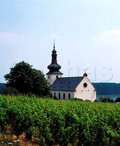 Church in the Glock vineyard with the Rhine beyond  Nierstein Germany Rheinfront  Rheinhessen