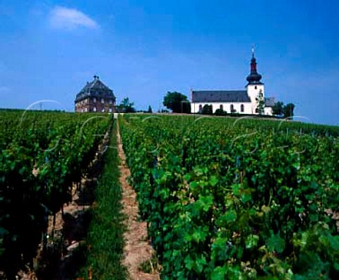 Church in the Glock vineyard at Nierstein Germany   Rheinfront  Rheinhessen
