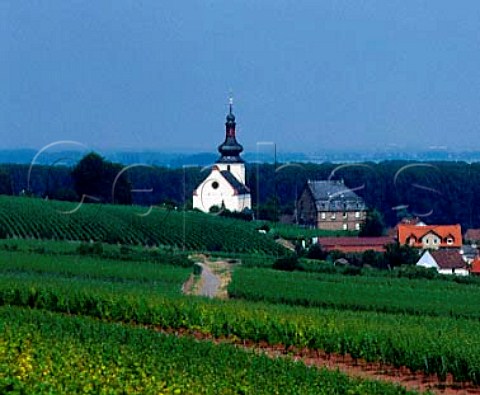 Church in the Glock vineyard viewed from the   Olberg vineyard Nierstein Germany   Rheinfront  Rheinhessen