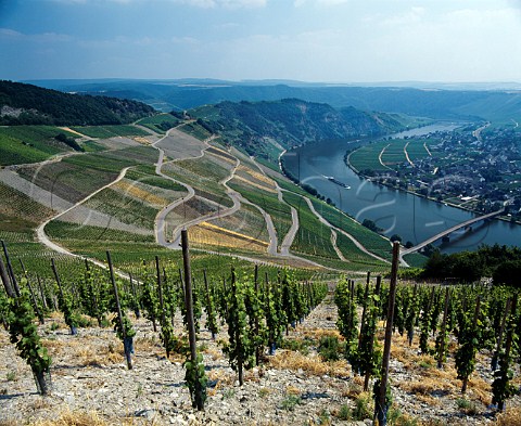View south from above the Falkenberg vineyard at   Piesport Germany        Mosel
