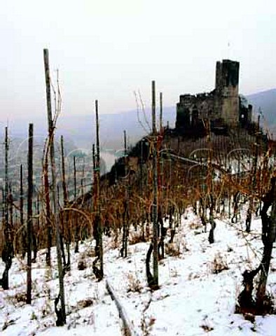 Burg Landshut above BernkastelKues and the Mosel The vineyard in foreground faces northwest and is snow covered that below the castle faces south west and is snow free In this northerly region the direction of slope is crucial to the ripening of the Riesling grape  the more southerly facing the better   Germany