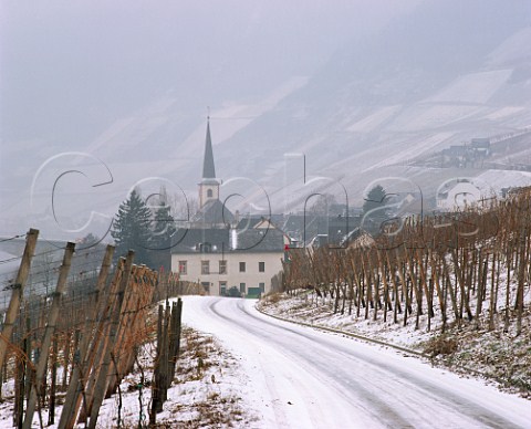 Winter scene at Piesport  the vineyard beyond and above the village is the Goldtropfchen    Germany   Mosel