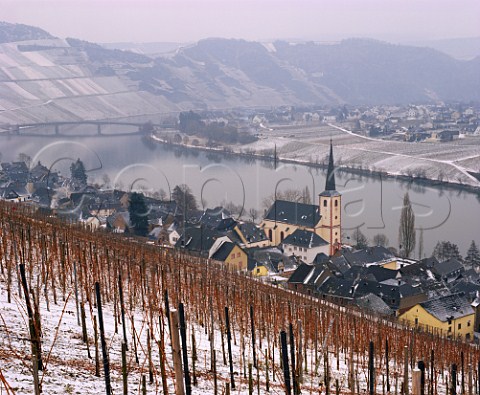 View over the Goldtropfchen vineyard to Piesport and the Mosel Germany