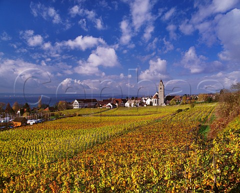 The Burgstall vineyard and town of Hagnau on the north shore of the Bodensee Baden Germany Bodensee