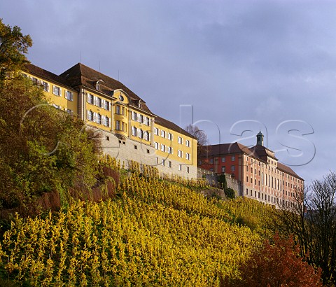 Altes Schloss and Neues Schloss above the Rieschen   vineyard On the north shore of the Bodensee at   Meersburg Baden Germany Bodensee
