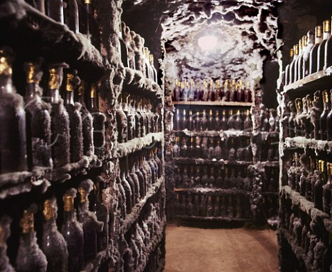 Old mould covered bottles stored vertically in the cellars of Tokaj Kereskedhz Tolcsva Hungary  Tokaji