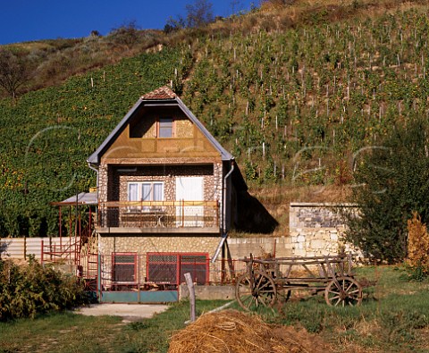 Traditional house below hillside vineyard at Tokaj   Hungary Tokaji