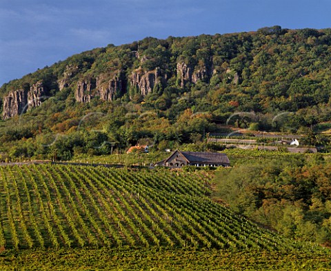 Vineyard and wine museum on the slopes of Mount Badacsony an extinct volcano stump on the north shore of Lake Balaton Hungary