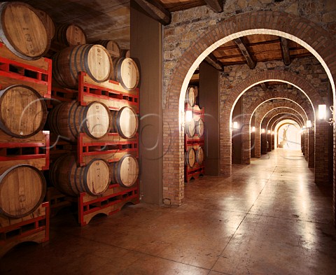 Barrels of Brunello di Montalcino   Villa Banfi Tuscany Italy