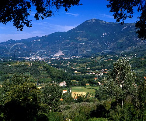 Camaiore near Lucca Tuscany Italy   Colline Lucchesi