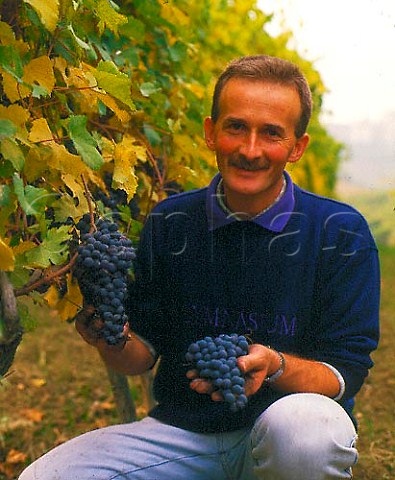 Gianni Voerzio with harvested Nebbiolo grapes in his   vineyard at La Morra Piemonte Italy   Barolo