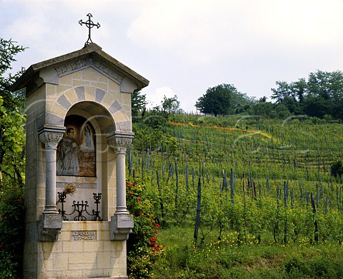 Shrine to S Joannes Bosco in vineyard at   Castelnuovo don Bosco Piemonte Italy