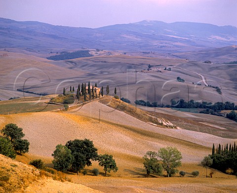 Farmhouse and cypress trees in bare landscape   southeast of Siena Tuscany Italy