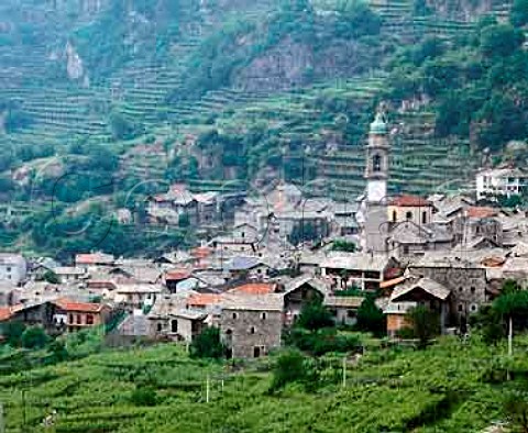 Nebbiolo vineyards around village of Carema in the Dora Bltea valley Piemonte Italy   DOC Carema