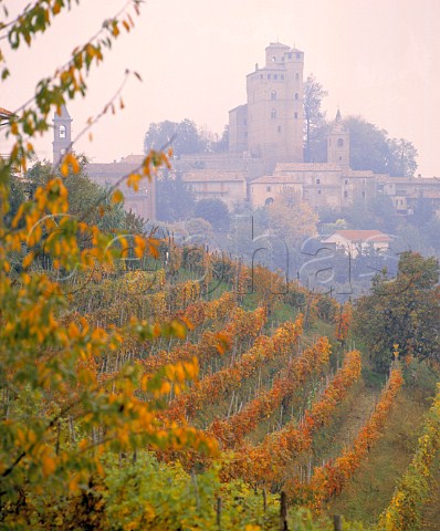 Serralunga dAlba viewed over autumnal vineyard   Piemonte Italy    Barolo