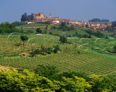 Vineyards at Montemagno near Asti Piemonte Italy Barbera dAsti