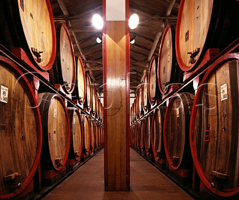 Botti in the cellars of Fontanafredda  Serralunga dAlba Piemonte Italy  Barolo
