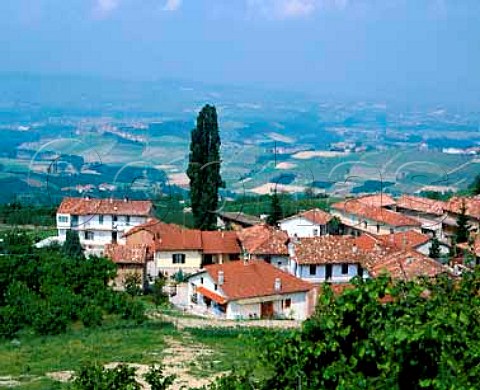 Diano dAlba Piemonte Italy