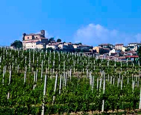 Vineyard and town of Casorzo Piemonte Italy