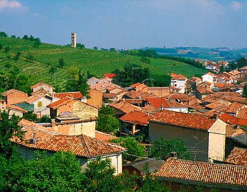 Village of Casorzo surrounded by vineyards     Piemonte Italy