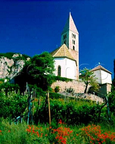 Church and vineyard at Cortaccia Alto Adige Italy