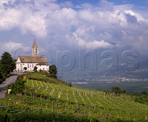 Church and vineyard above the Adige Valley at Cortaccia Alto Adige Italy  Caldaro