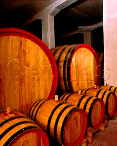 Barriques and botti in the cellars of Fratelli dAngelo made from French and Slavian oak Rionero in Vulture Basilicata Italy